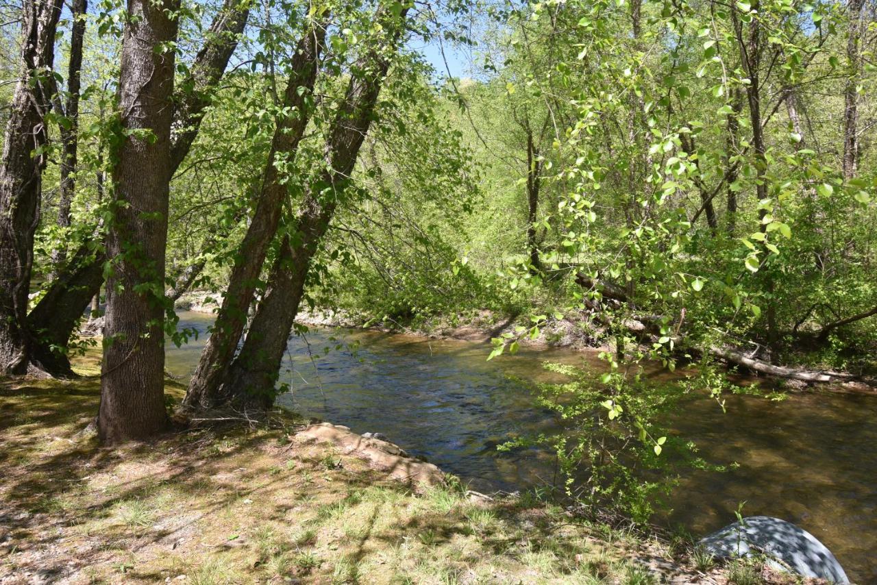 Riverside Trout Cottage Helen Εξωτερικό φωτογραφία